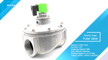 DMF-T-62S 2 1/2'' Straight Through Dust Collector Diaphragm Pulse Jet Solenoid Valve 24V 110V 220V