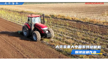 Rotavator with optional multiple blade shafts