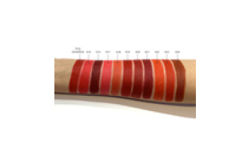 Cosmetics manufacturer OEM Hot Sale lip makeup Natural matte lipstick Private label1