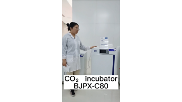 BIOBASE small CO2 Incubator with temp and huminate for lab1