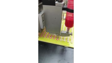 CCD visual ink dispensing machine
