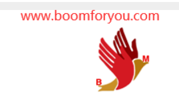 Boom Machinery (Changzhou) CO., Ltd