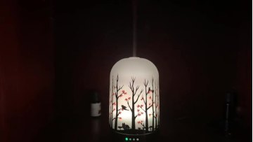 Essential Oil Diffuser Art Glass Aromatherapy Ultrasonic Humidifier,7 Colors Changing LEDs Waterless Auto-Shut aroma diffuser1