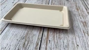 15 bagasse sushi tray