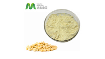 High Purity China Manufacturer Food Grade Granulated Soybean Lecithin Powder1