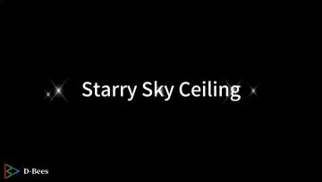 Starry roof installation