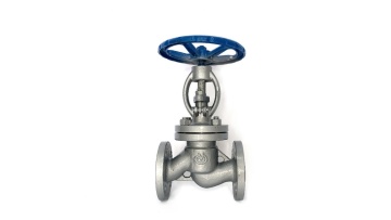 Cast steel gate valve (1)