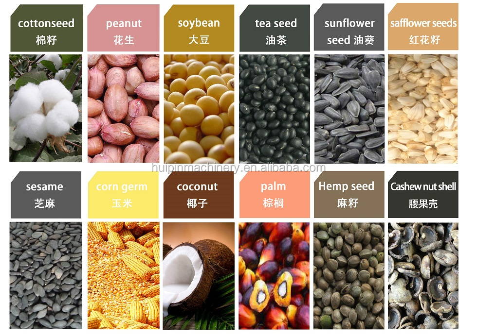 all seed.jpg