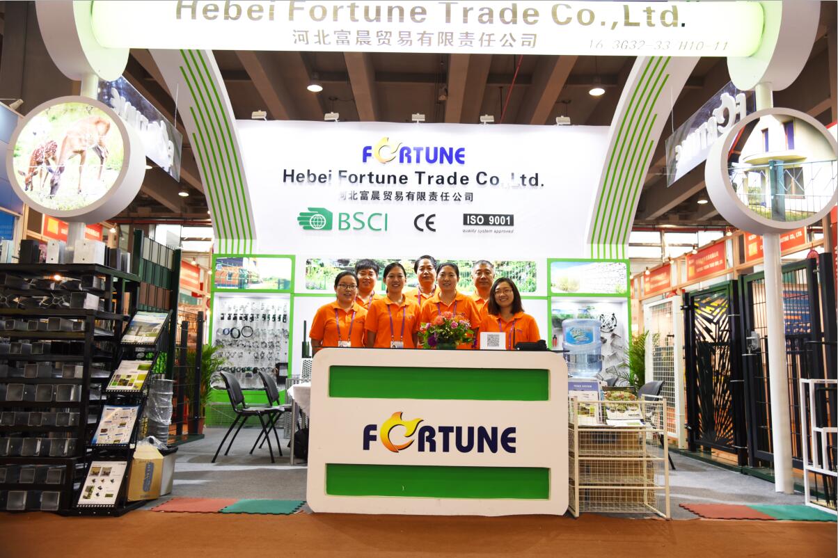 HeBei Fortune Trade Co.,Ltd.