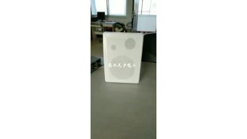 30W Wall Loudspeaker