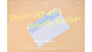 DLX Security Envelope