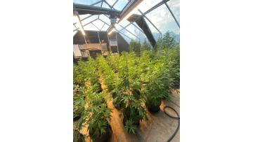 blackout greenhouse from Joe