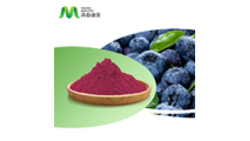 Organic Fruit 100% Pure Private Label Wild Blueberry Powder1