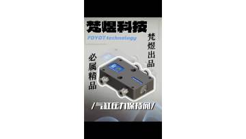 Cylinder Pressure Retaining Valve