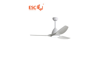 Modern ceiling  fan 3 blade