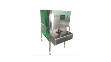 Automatic Mango Peeler