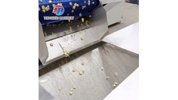 TS-X200B Automatic Commercial Vegetable Blanching Machine