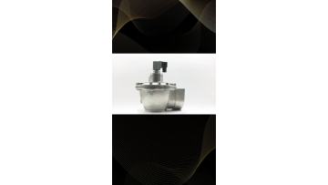Goyen Type Diaphragm Pulse Valve