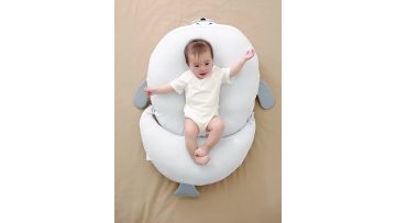 Seal anti-vomiting pillow