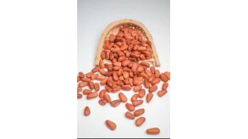 268g Delicious Deep Frying Open Pine Nut