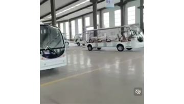 11 seater high-capacity sightseeing bus
