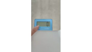 ss1520 food scale