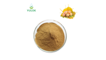 Hot Sales Ginkgo Biloba Flavone Glycosides 24% Leaf Extract Powder1