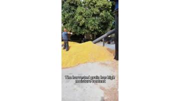 Operation status of grain dryer