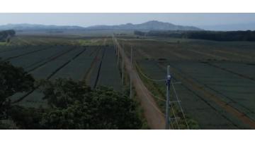 2023 BUSECO Transmission line Steel Pole project