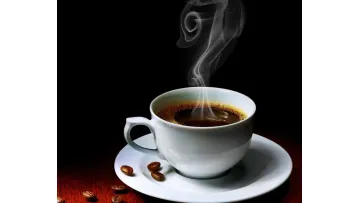Creamy Coffee Creamer Powder Mix of Non Dairy Creamer1