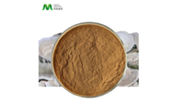 Manufacture Wholesale Organic Turkey Tail Mushroom Extract1