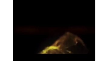 Productions Series.mp4