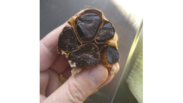 HY-30 black garlic machine to South Africa