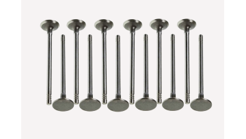 Exhaust Valve 1113189 High Performance