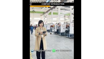 hot chamber die casting machine