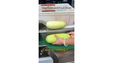 Vegetable and Fruit Dicer