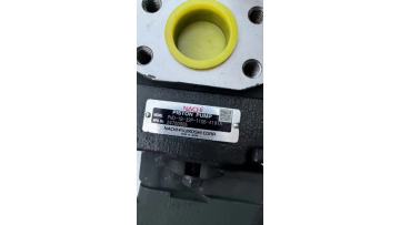 NBF Yuexiao Pump PVD-1B-32