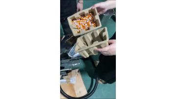 Capsule sorting polishing machine