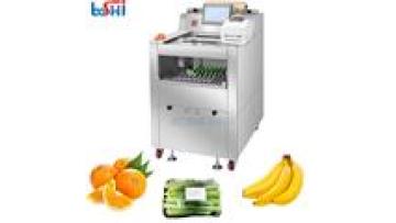 Fully Automatic Coconut Blueberry Avocado Lemon Packing Machine Apple Tomato Fresh Fruit Potato Orange Packing Machine1