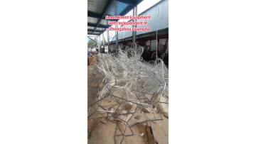 493d0cd38aa869498746f853e2792c0b