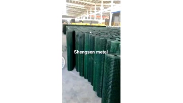 Shengsen factory 4' x 50' pvc coated dark green welded wire mesh roll with best price1