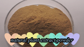  High Quality Jujube Seed Extract