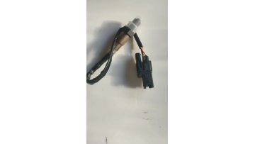 0258007206 Oxygen Sensor