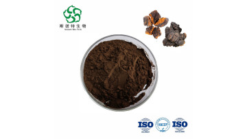 Inonotus obliquus extract powder SINUOTE