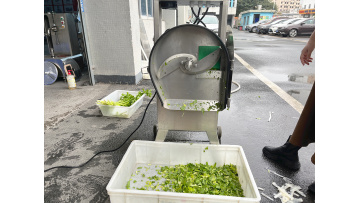 ST-Q303 vegetable cutting machine