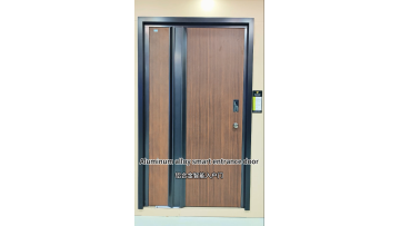 Aluminum alloy entrance door