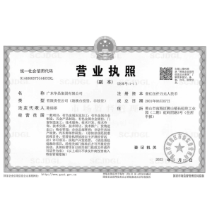 Business License