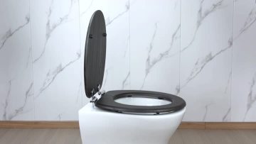 Fanmitrk Toilet Seat SDFM11207-13