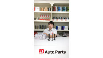 1D brand Engine Valve