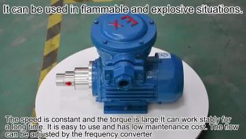 0.30cc Gear pump